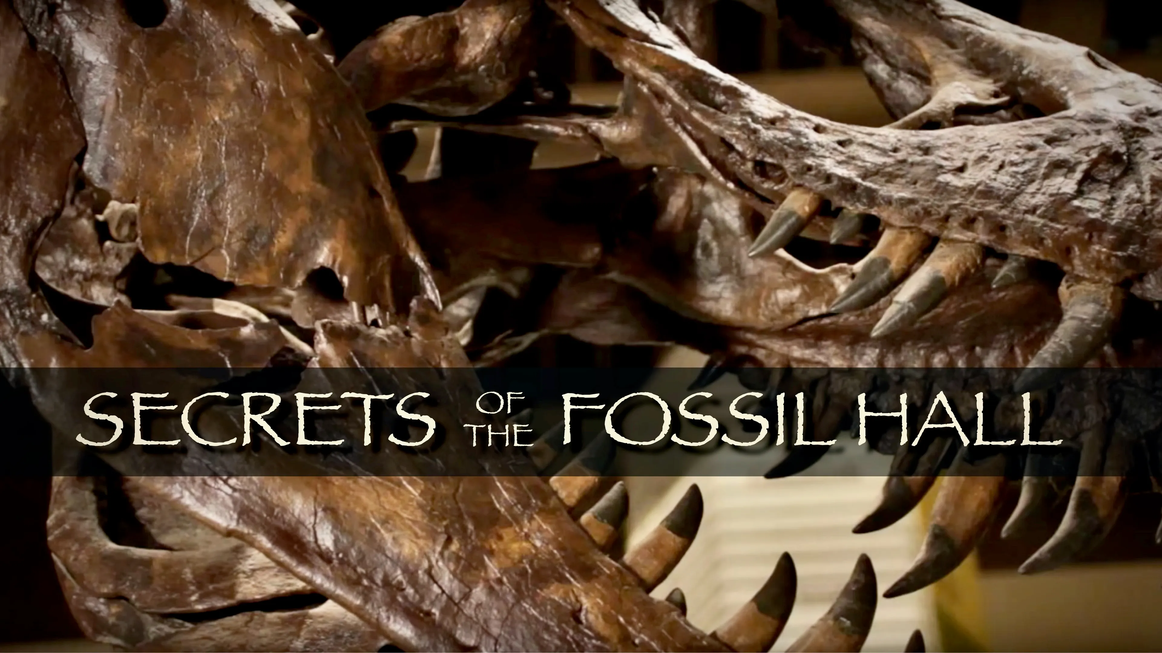Secrets of the Fossil Hall poster